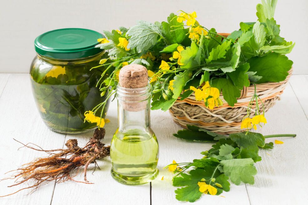 Aceite e decocción de celidonia para combater a onicomicose